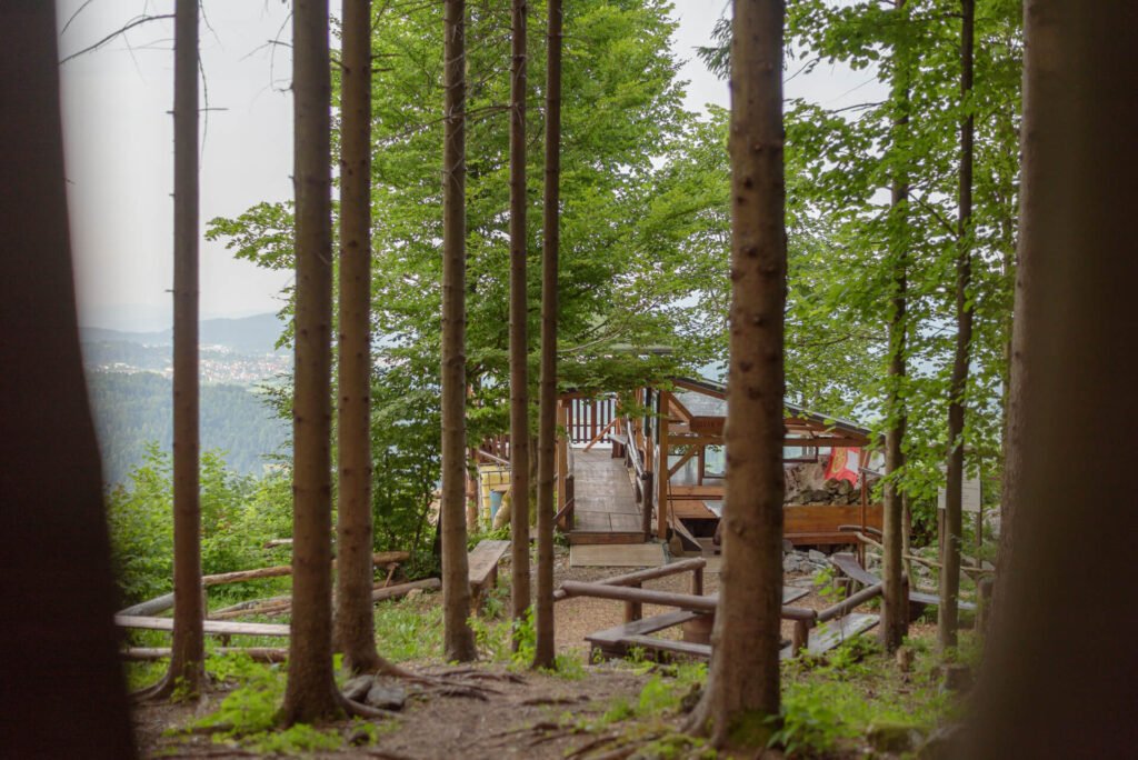 Do_razgledisca_pod_Srnjakom (10)