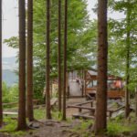 Do_razgledisca_pod_Srnjakom (10)