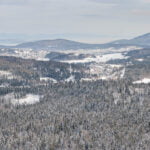 Do_razgledisca_pod_Srnjakom (14)