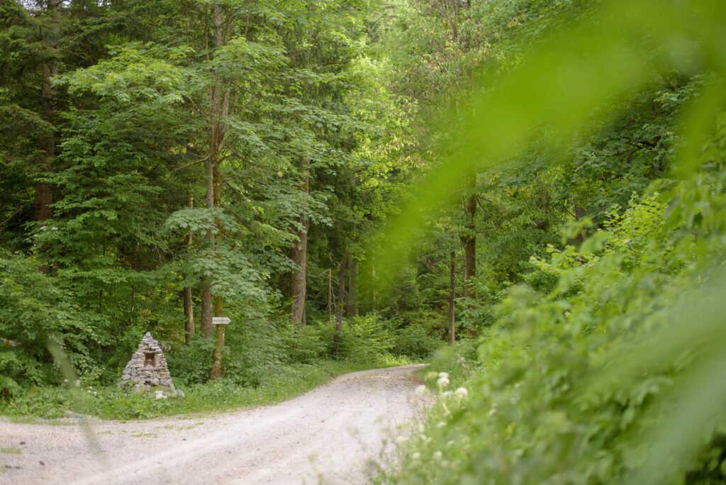 Do_razgledisca_pod_Srnjakom (2)