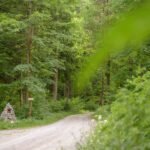 Do_razgledisca_pod_Srnjakom (2)