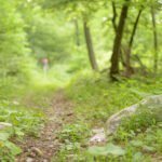 Do_razgledisca_pod_Srnjakom (3)