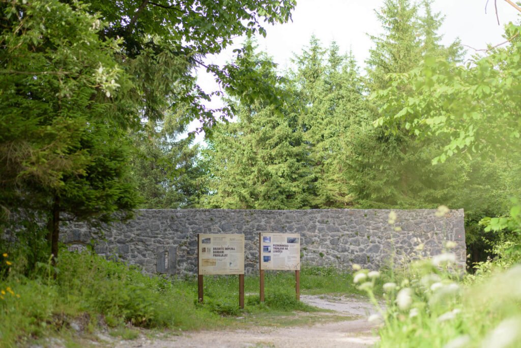 Do_razgledisca_pod_Srnjakom (5)