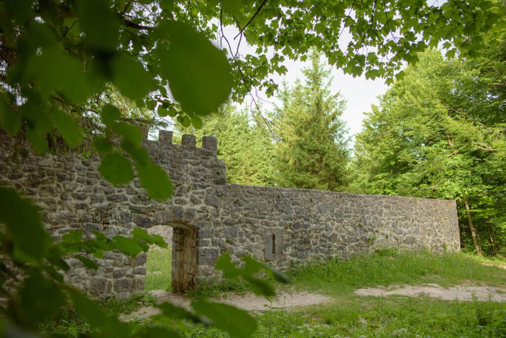 Do_razgledisca_pod_Srnjakom (6)