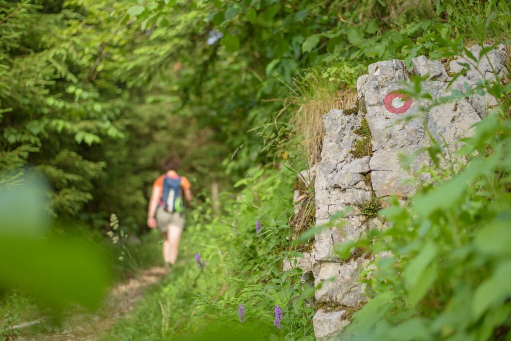 Do_razgledisca_pod_Srnjakom (7)