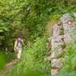 Do_razgledisca_pod_Srnjakom (7)