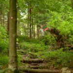 Do_razgledisca_pod_Srnjakom (9)