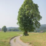 okrog-sekirice-in-zencka (1)