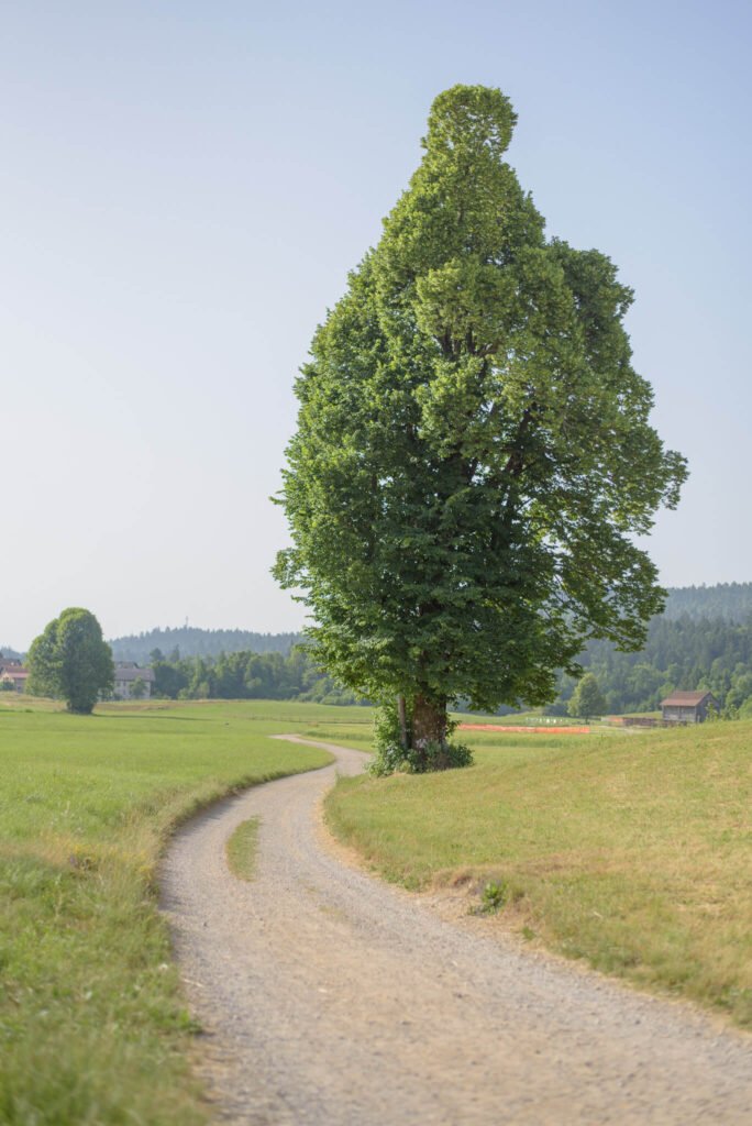 okrog-sekirice-in-zencka (1)