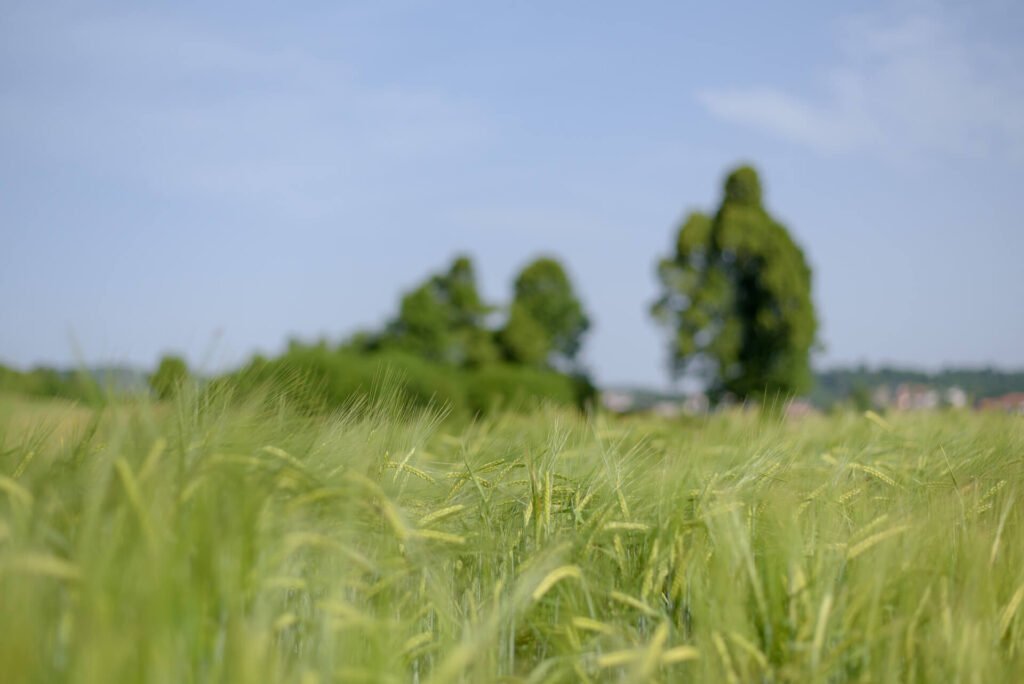 okrog-sekirice-in-zencka (2)