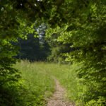 okrog-sekirice-in-zencka (4)