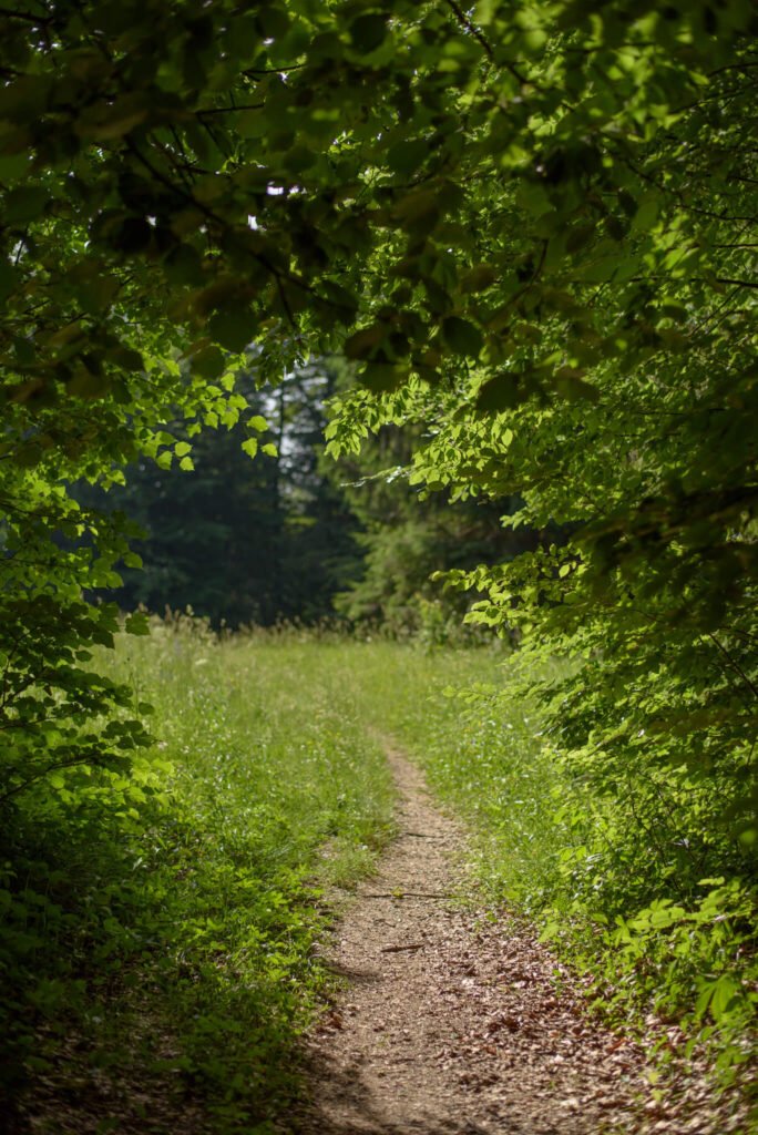 okrog-sekirice-in-zencka (4)