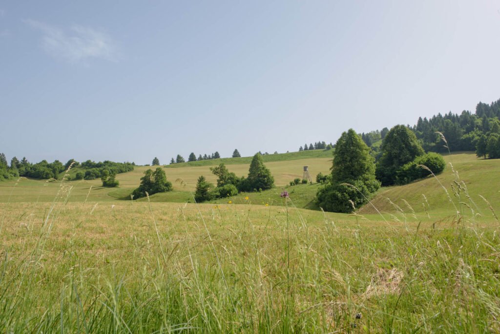 okrog-sekirice-in-zencka (6)