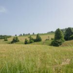 okrog-sekirice-in-zencka (6)