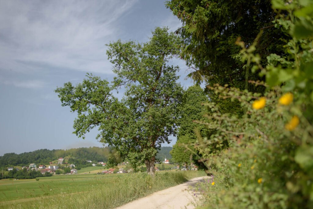 okrog-sekirice-in-zencka (7)