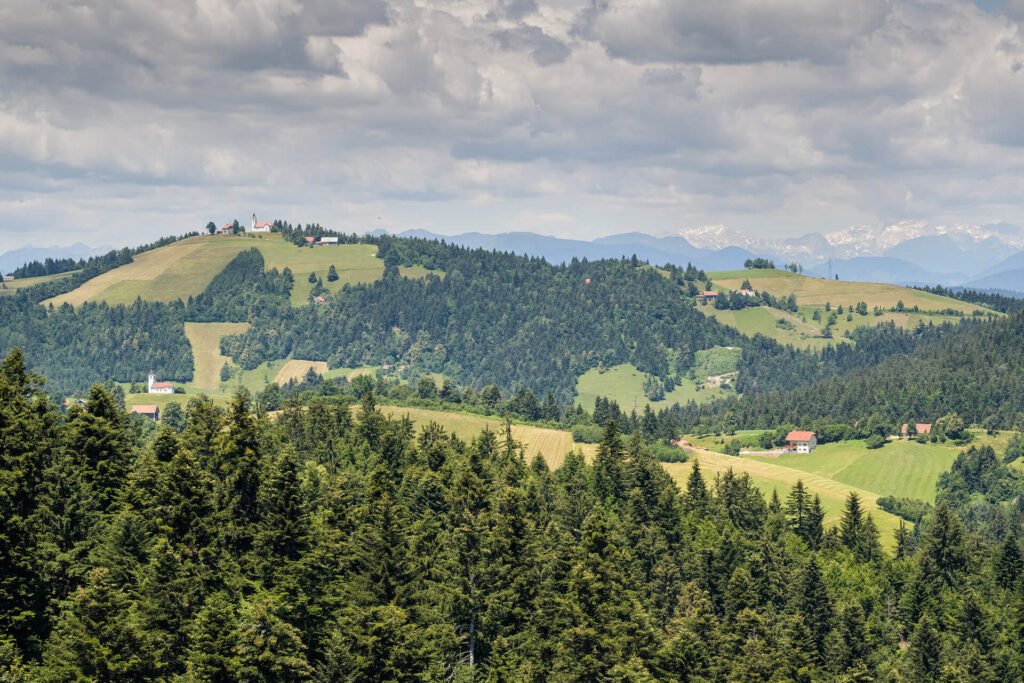 10_Cerkev_sv_Treh_kraljev_Vrh-2995