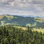 10_Cerkev_sv_Treh_kraljev_Vrh-2995