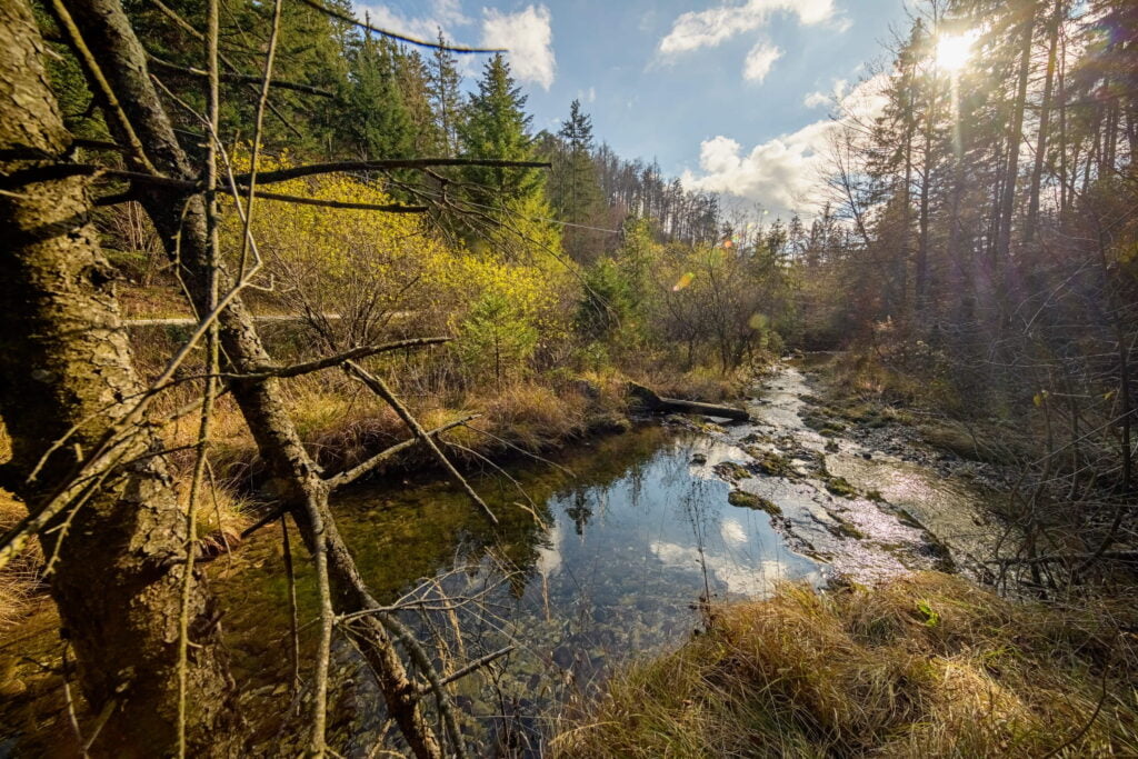 3c_Hotenjka_Zejna_dolina