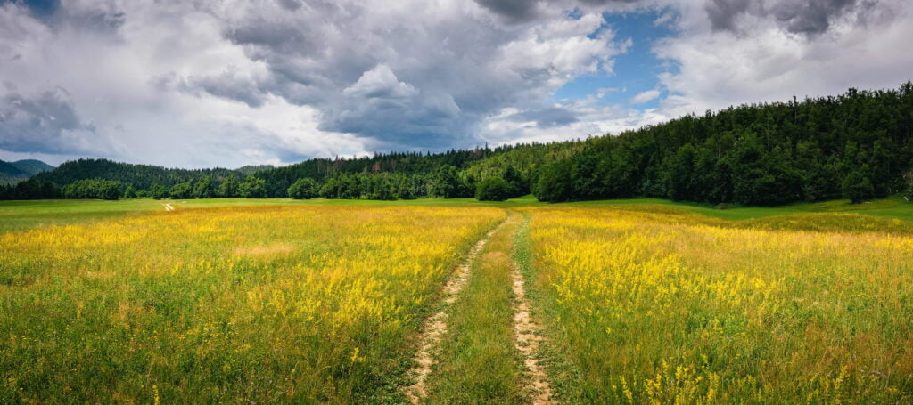 4d_Planinsko_polje_pano
