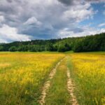 4d_Planinsko_polje_pano