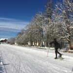 grajski-park-vitez-logatec-slovenia (12)