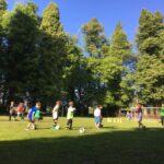 grajski-park-vitez-logatec-travnato-nogometno-igrisce